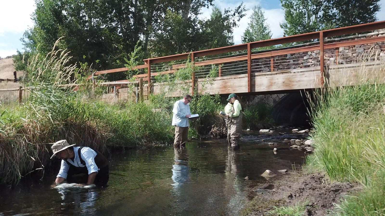 Bryan Brooks water research