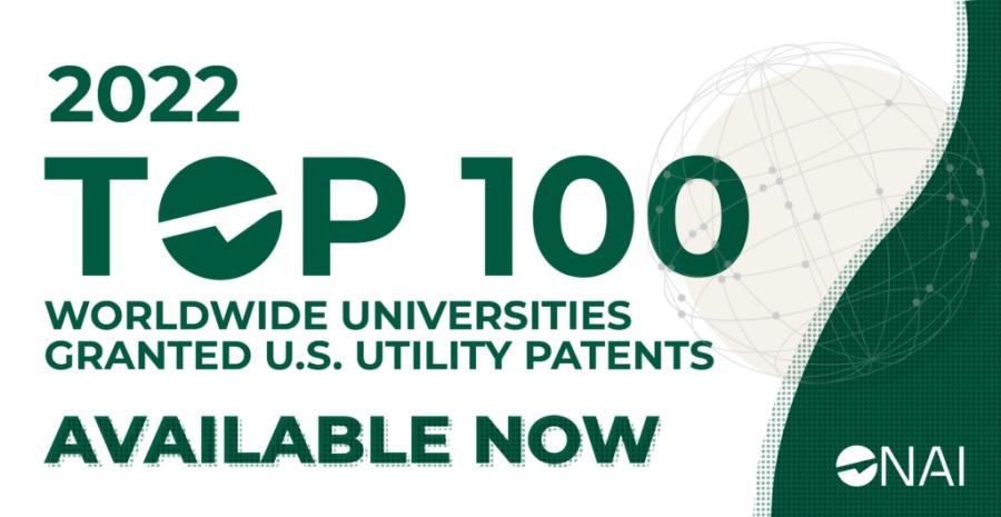 Top 100 Worldwide Universities Granted Utility Patents