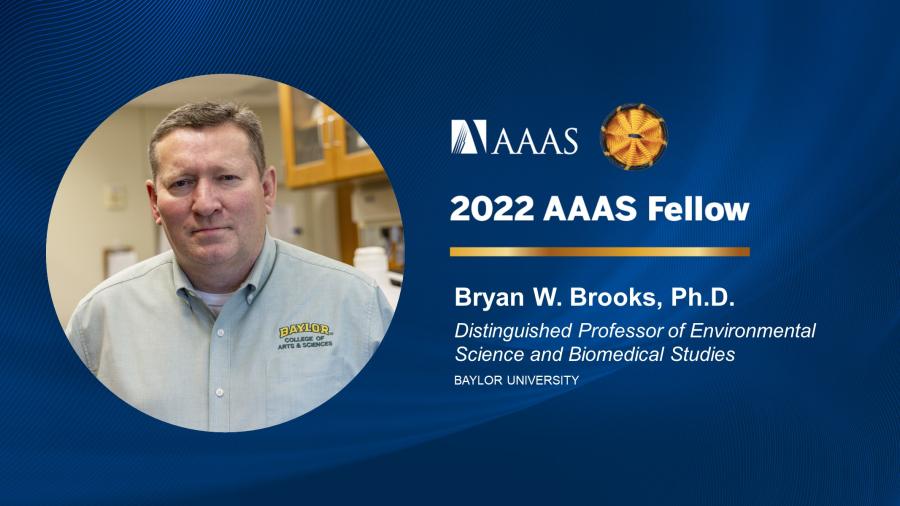 Bryan Brooks - 2022 AAAS Fellow