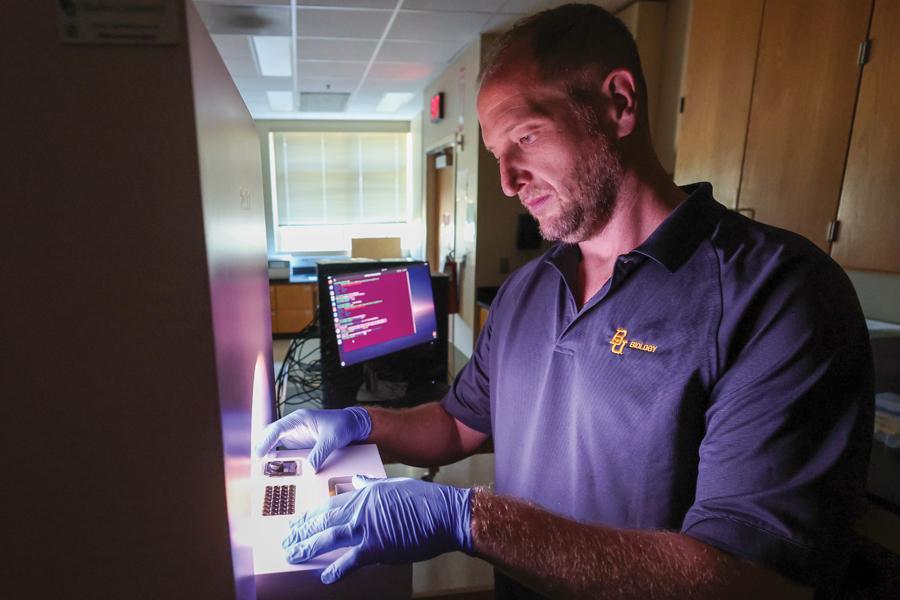 Microbiome researcher and biology professor Jake Minich works in his Baylor lab.