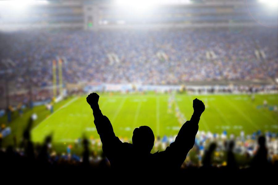 Graphic of a fan celebrating amidst a group of fans in stadium